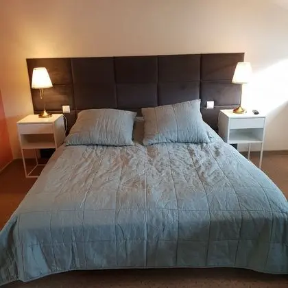 Comfort Tek Büyük Yataklı Oda (3)