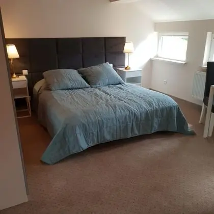 Comfort Tek Büyük Yataklı Oda (3)