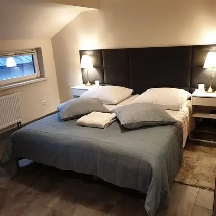 Tek Büyük veya İki Ayrı Yataklı Oda, Bahçe Manzaralı (2)