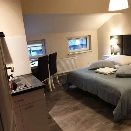 Tek Büyük veya İki Ayrı Yataklı Oda, Bahçe Manzaralı (2)