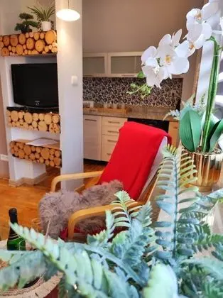 Deluxe Apart Daire (Nr 10)