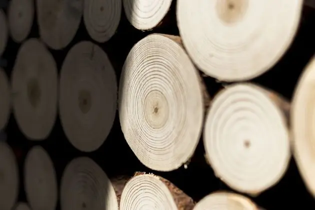 Superior Apart Daire (Nr 11)