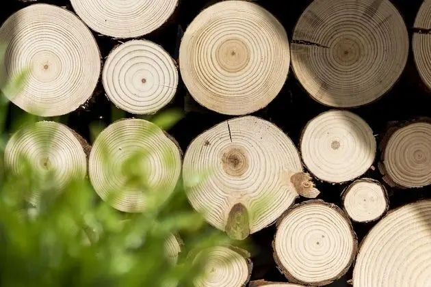 Superior Apart Daire (Nr 11)