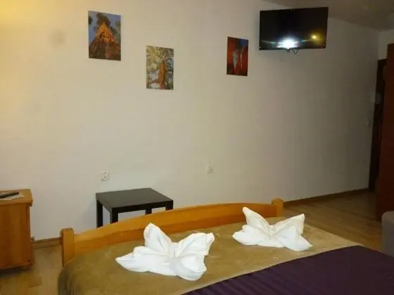 Tek Büyük Yataklı Oda (2)