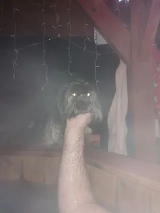 Comfort Stüdyo Süit, Birden Çok Yatak