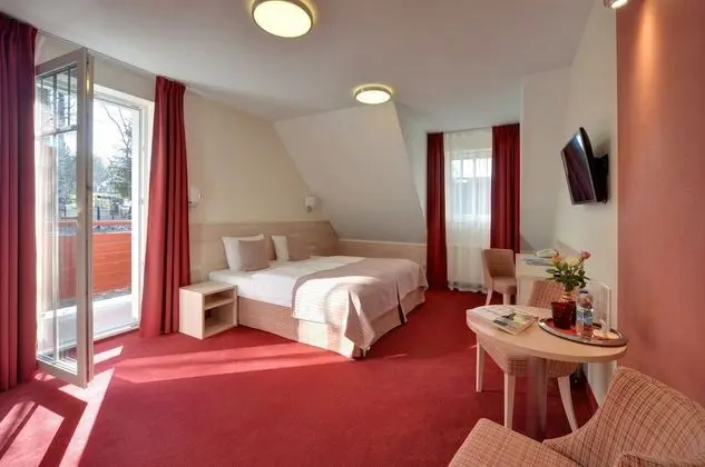 Tek Büyük Yataklı Oda (comfort, extra bed)