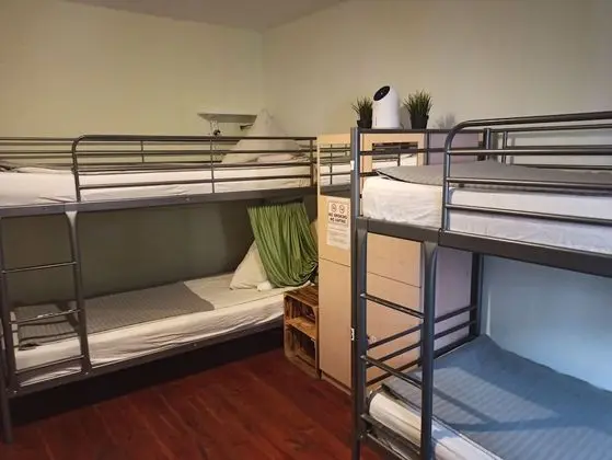 Basic Shared Dormitory, Mixed Dorm (#4)