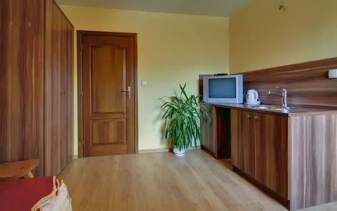 Tek Kişilik Oda, Dağ Manzaralı (201695910)