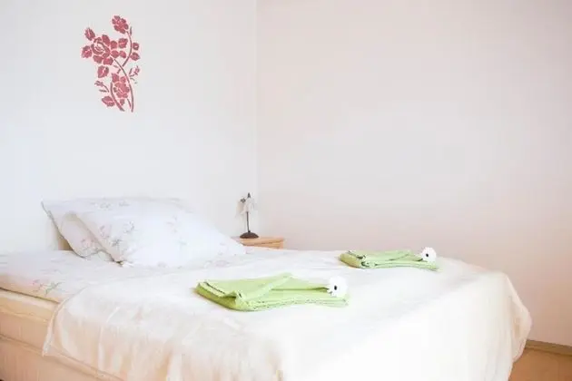 Superior Apartment (14)