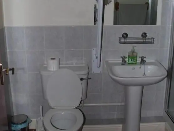 İki Ayrı Yataklı Oda, Banyolu/Duşlu (Disabled Facilities)