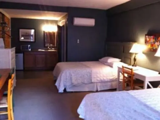 Tek Büyük Yataklı Oda, Banyolu/Duşlu (Double Queen Guest Room)