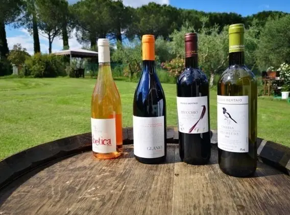 Apart Daire, Engellilere Uygun