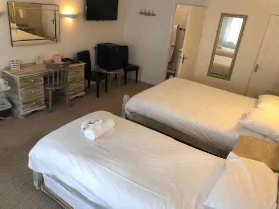 Tek Büyük Yataklı Oda, Banyolu/Duşlu (King Size )