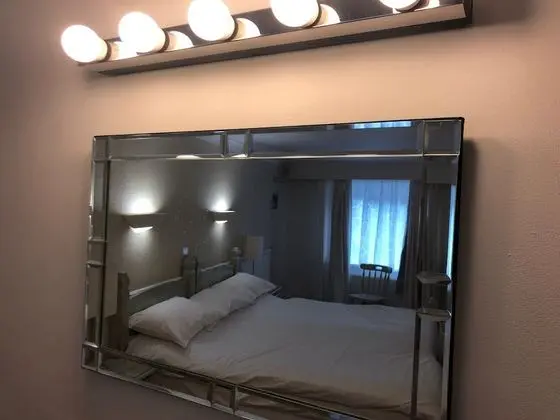 Tek Büyük Yataklı Oda, Banyolu/Duşlu (King Size )