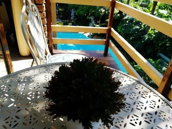 Luxury Tek Büyük veya İki Ayrı Yataklı Oda (10)