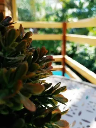 Luxury Tek Büyük veya İki Ayrı Yataklı Oda (10)