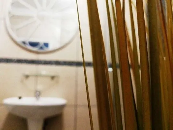 Luxury Tek Büyük veya İki Ayrı Yataklı Oda (10)