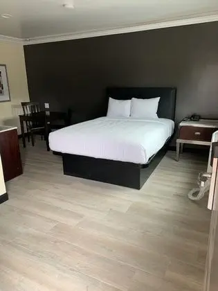 Basic Tek Kişilik Oda
