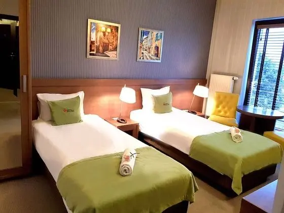 Deluxe Tek Büyük veya İki Ayrı Yataklı Oda