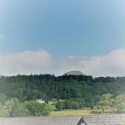 Superior Tek Büyük Yataklı Oda, Banyolu/Duşlu, Dağ Manzaralı