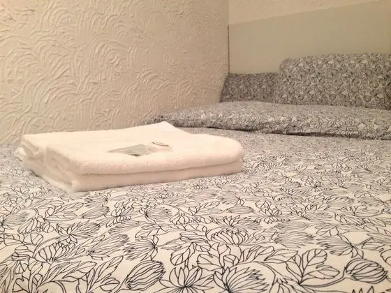 Tek Büyük Yataklı Oda, Banyolu/Duşlu (Small)