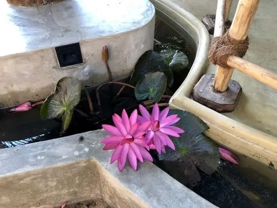 Kulübe, Banyolu/Duşlu (Garden Cabana)