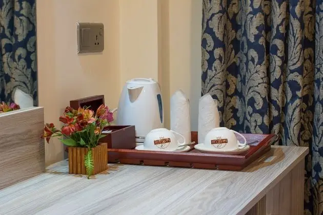 Executive Tek Büyük Yataklı Oda, Dağ Manzaralı