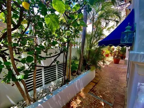 Double Double Standard