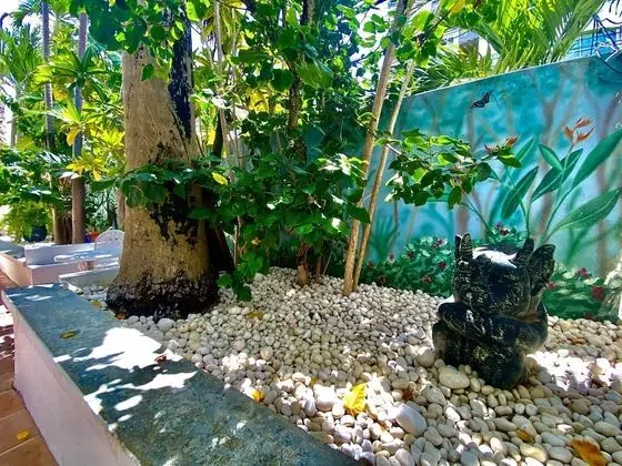 Double Double Standard