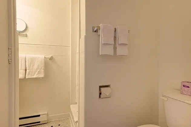 Premium Süit, 1 Çift Kişilik Yatak, Sigara İçilmez, Özel Banyo