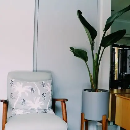 Luxury Tek Büyük Yataklı Oda