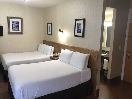 Deluxe Tek Büyük Yataklı Oda, 2 Çift Kişilik Yatak