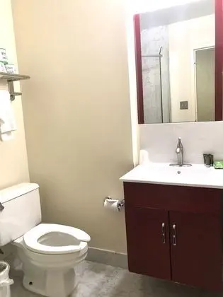 Deluxe Tek Büyük Yataklı Oda, 2 Çift Kişilik Yatak