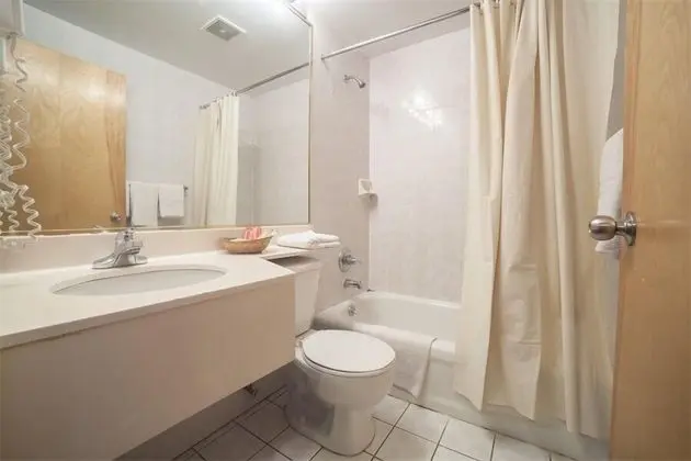 Tek Büyük Yataklı Oda, 2 Çift Kişilik Yatak, Sigara İçilmez, Özel Banyo