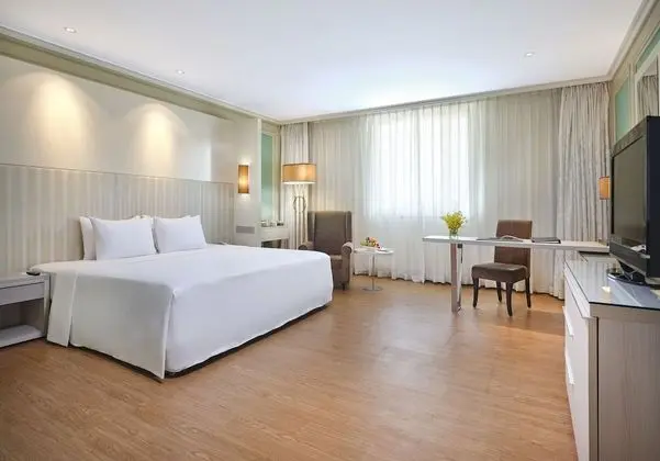 Premier Tek Büyük veya İki Ayrı Yataklı Oda, Şehir Manzaralı