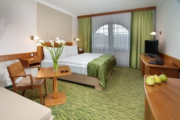 Tek Büyük Yataklı Oda (With Extra Bed)