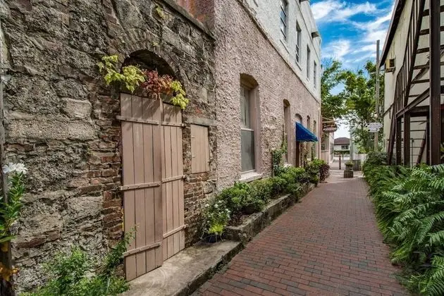 Ev (Windswept Beach House)