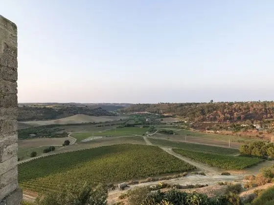 Superior Tek Büyük Yataklı Oda, Vadi Manzaralı