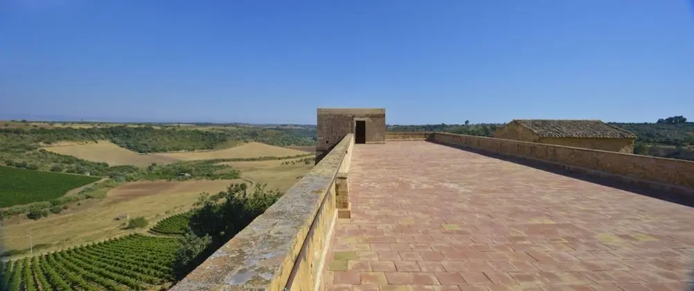 Superior Tek Büyük Yataklı Oda, Vadi Manzaralı