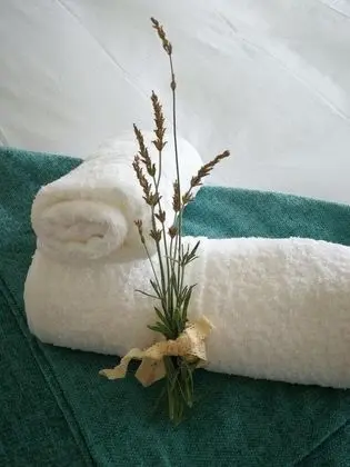 Tek Büyük Yataklı Oda (Protea)