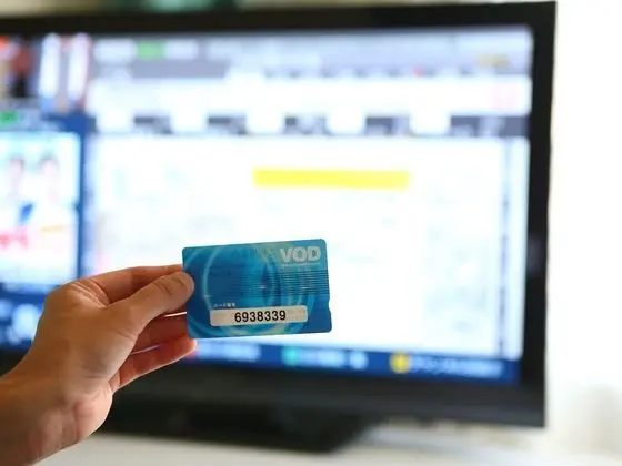 Standard Tek Büyük Yataklı Oda, 1 Çift Kişilik Yatak, Sigara İçilebilir