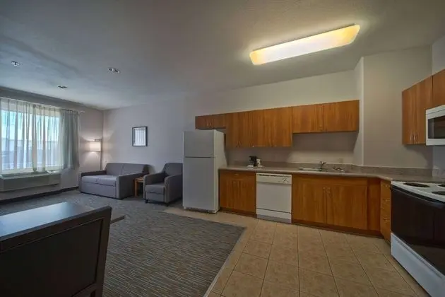 Executive Süit, 1 En Büyük (King) Boy Yatak, Sigara İçilmez (One Bedroom)