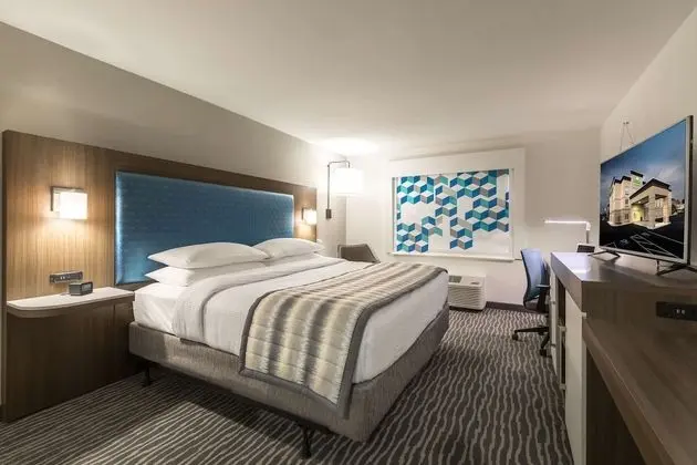 Oda, 1 En Büyük (King) Boy Yatak, Engellilere Uygun, Sigara İçilmez