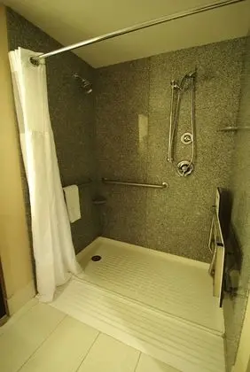 Oda, 1 En Büyük (King) Boy Yatak, Engellilere Uygun, Sigara İçilmez (Roll-In Shower)
