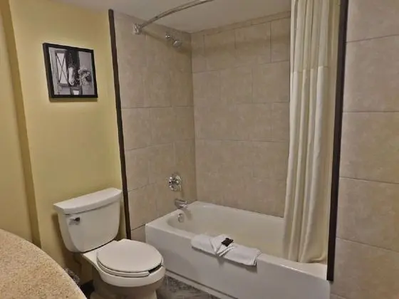 Süit, 1 En Büyük (King) Boy Yatak, Sigara İçilmez (One-Bedroom)