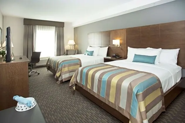 Oda, 2 Büyük (Queen) Boy Yatak, Sigara İçilmez (Pet-Friendly)