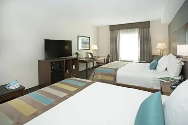 Oda, 2 Büyük (Queen) Boy Yatak, Sigara İçilmez (Pet-Friendly)
