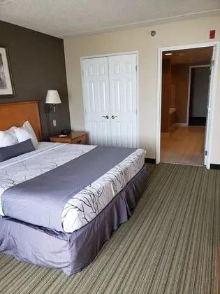 Süit, 1 En Büyük (King) Boy Yatak, Sigara İçilmez (1 Bedroom)