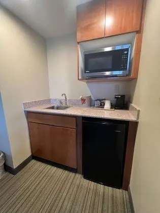 Süit, 1 En Büyük (King) Boy Yatak, Sigara İçilmez (1 Bedroom)