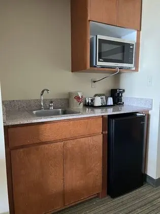 Süit, 1 En Büyük (King) Boy Yatak, Sigara İçilmez (1 Bedroom)